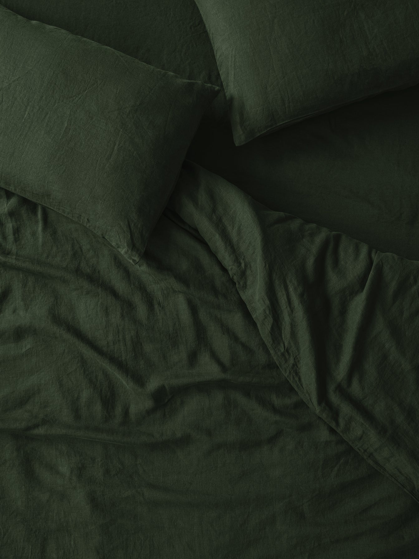 OVERHEAD-LIFESTYLE_FERN_GREEN-copy_copy
